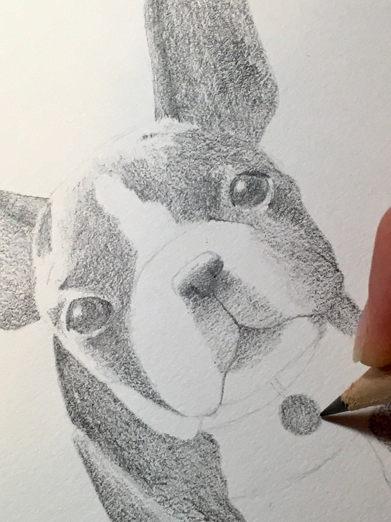 How to Draw Animals in Action! • Bardot Brush